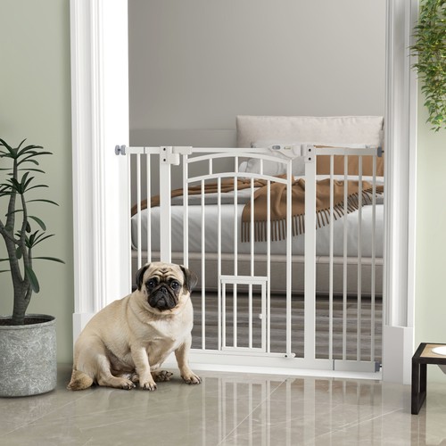 Pawhut 100 hunde - pawhut, 74-100