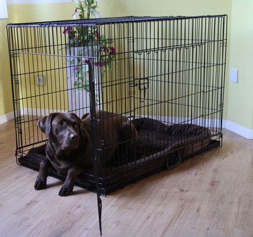 Ware mypets treme safe - b-ware, mypets®