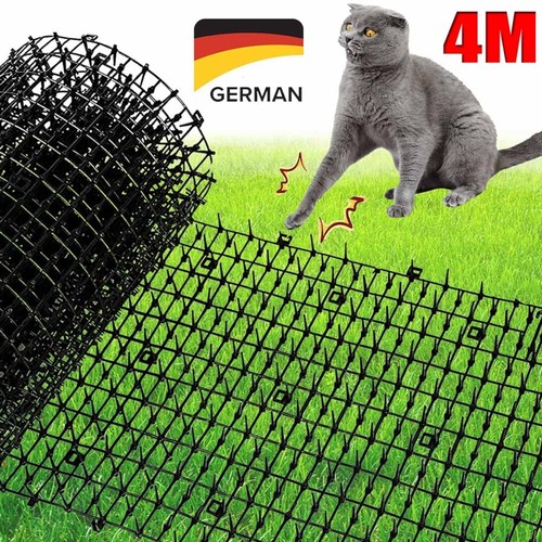 Katzen hunde tierschreck - hunde,