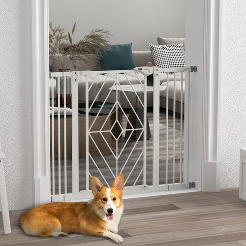 100 hunde - 74-100,