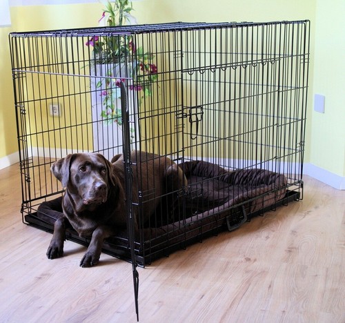 Mypets komplettset faltbare - komplettset,